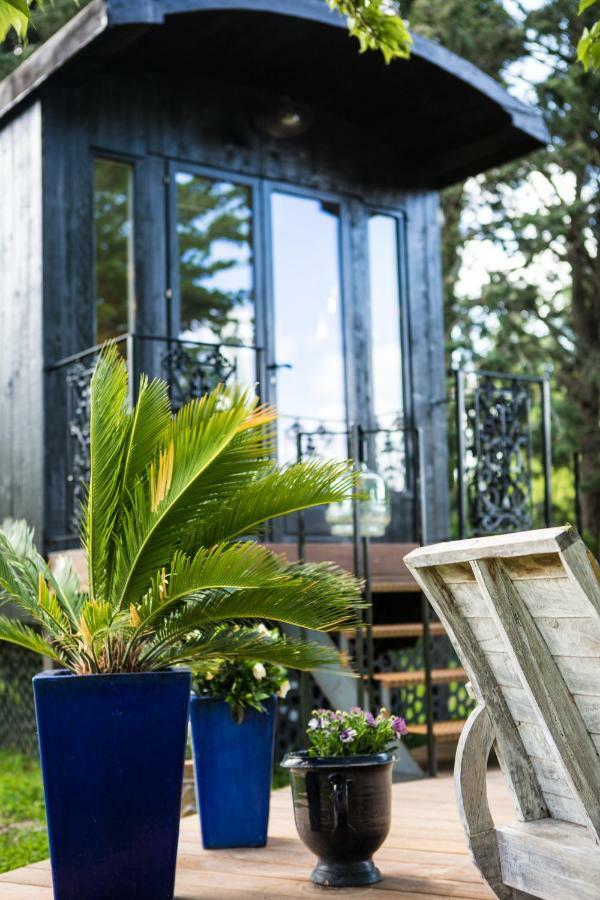 Sous Les Platanes B&B Chateaurenard Luaran gambar